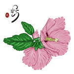 rose-of-sharon-korean-national-flower-with-a-hieroglyph-on-red-meaning-beautiful-and-a-word-written-in-korean-meaning-korea-hand_215016646